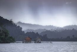 PAPUA-Raja Ampat 2026 (1 group) (35/55)